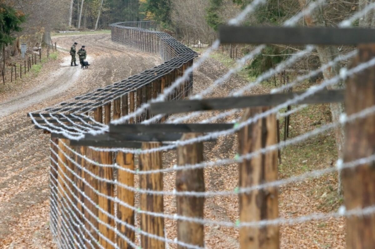    Польша завершила строительство стены на границе с Белоруссией