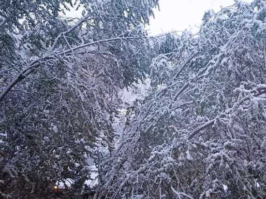     Архив «МК в Оренбурге»