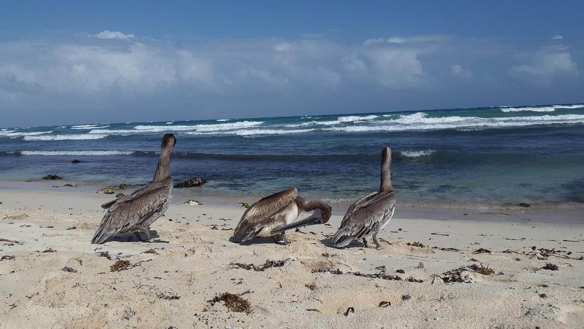 Фото из личного архива
