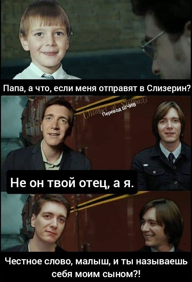 Мемы по Гарри Поттеру ( часть 26) | Оборотное зелье | Дзен