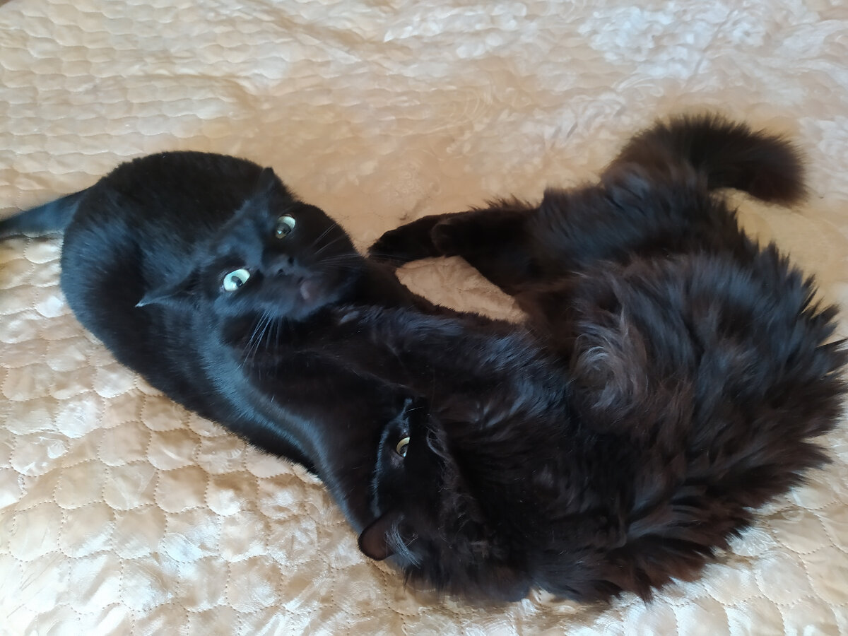 Ну ок, давай поиграем.