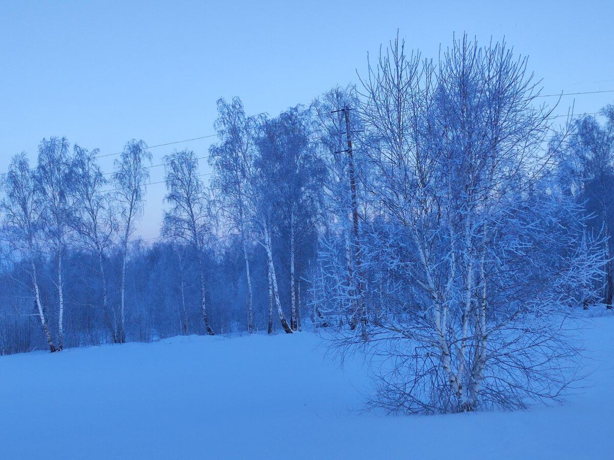 Личное фото.