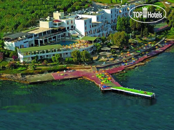 Взято из открытого источника