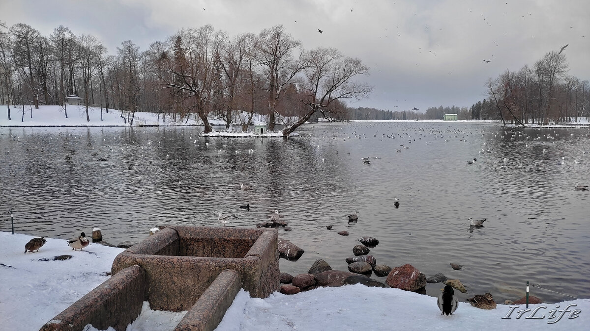 Гатчинский парк. Белое озеро. Иорданский колодец. 05.03.2023 г.