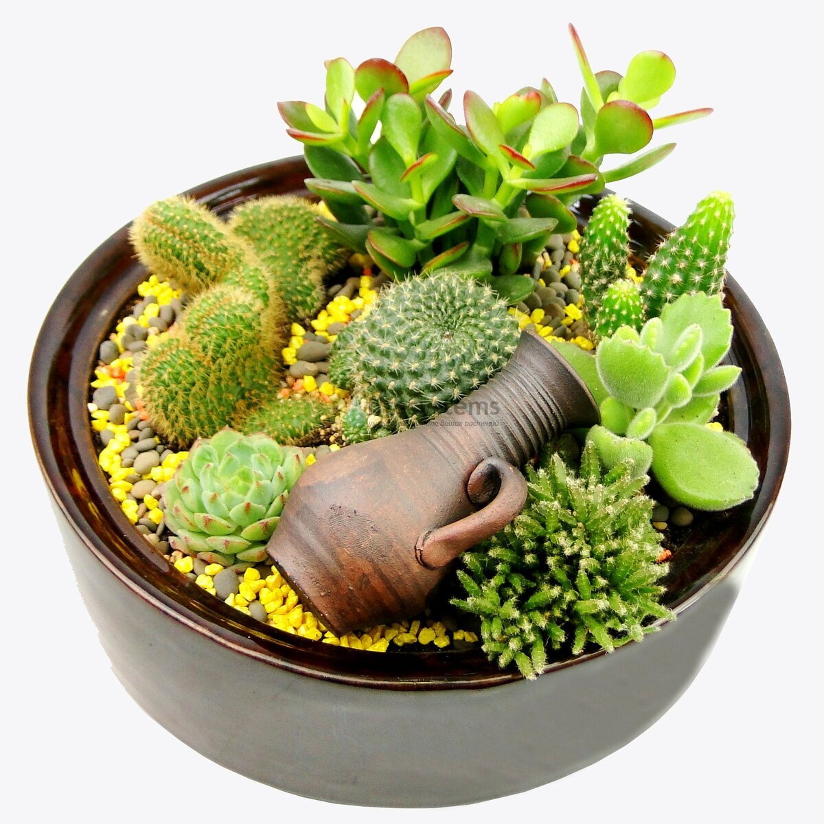 Свободный доступ Яндекс картинки