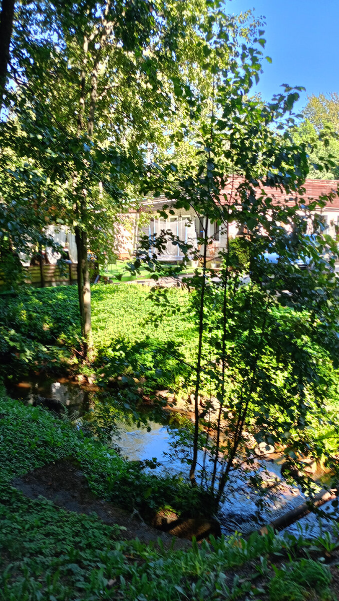 Как в Зеленогорске пройти к морю | Вот такая я путешественница. | Дзен