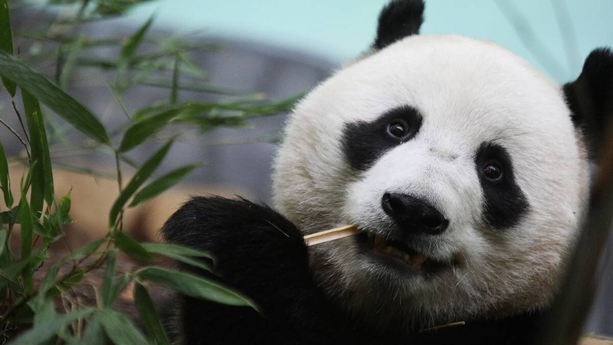    Фото: Андрей Никеричев / АГН Москва