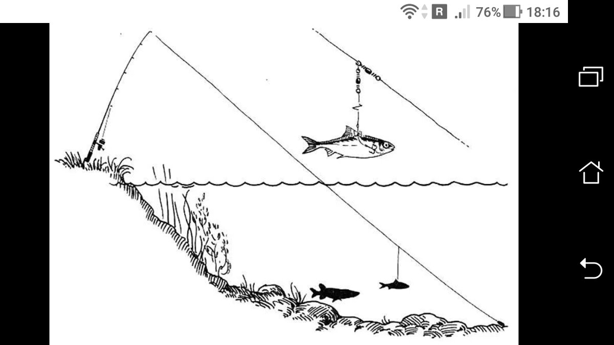 Удочка на щуку на живца оснастка поплавочная. Снасть для ловли щуки с берега. Поплавочная живцовая снасть на щуку. Снасть для ловли щуки с берега. Снасть для ловли судака на живца.