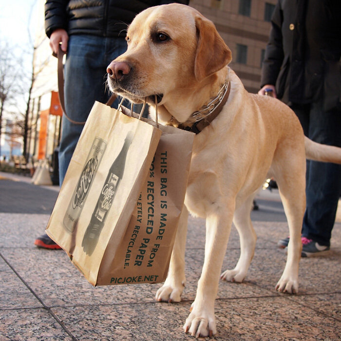 Источник фото: http://img.ipev.ru/2016/09/12/coffeecola30.jpg