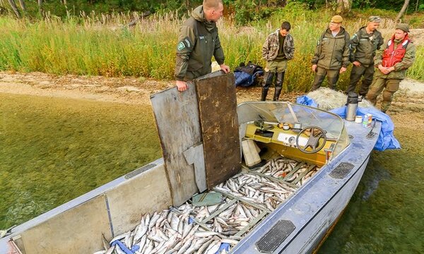 Браконьеров на воде в России много