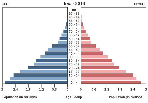 Возрастно-половая пирамида Ирака. 2 этап демографического перехода. Изображение взято с CIA World Factbook