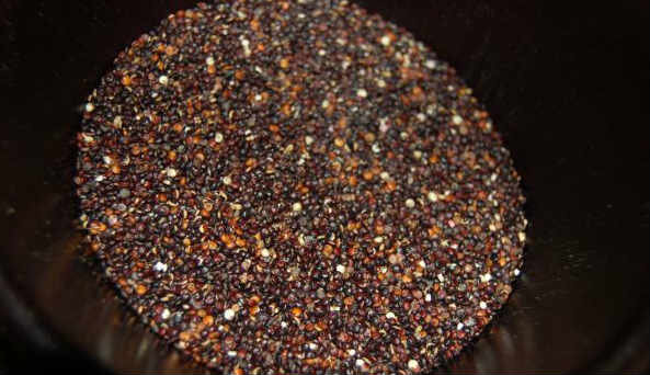 Quinoa