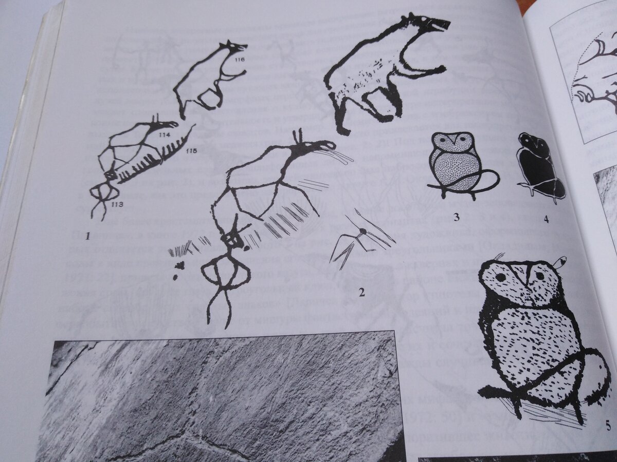 Наскальные рисунки томской писаницы какому животному