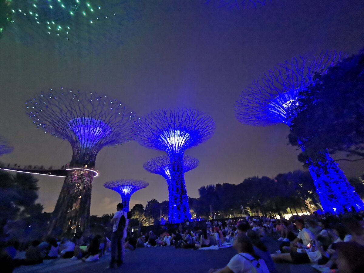 Сады с подсветкой