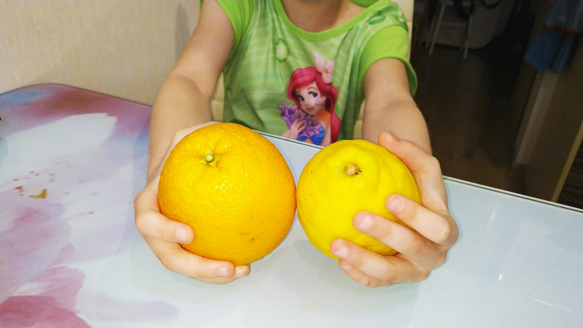  Вот они! Виновники вкуснейшего лимонада.