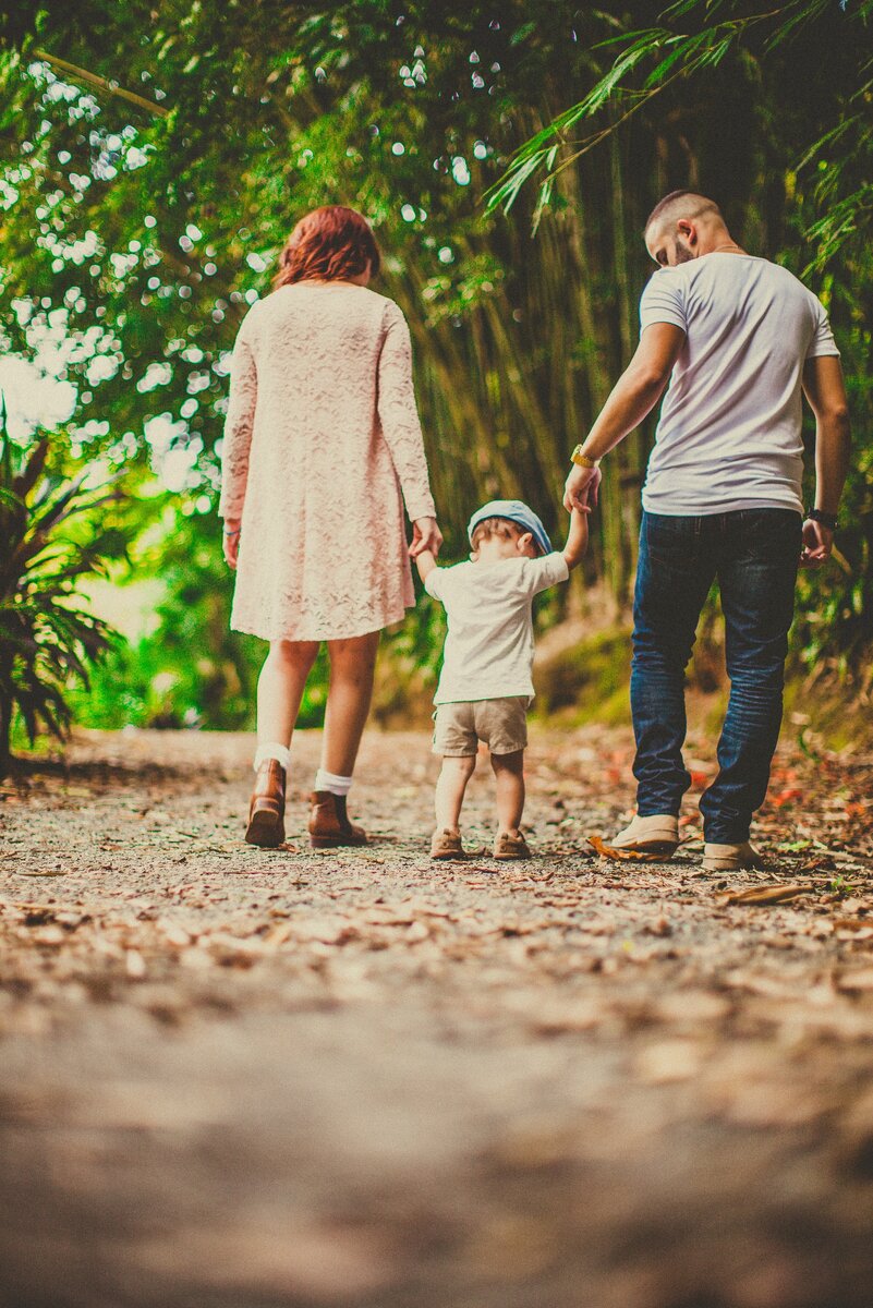 https://www.pexels.com/photo/low-angle-shot-of-a-child-held-by-woman-and-man-on-on-each-hand-walking-on-an-unpaved-pathway-outdoors-3038455/