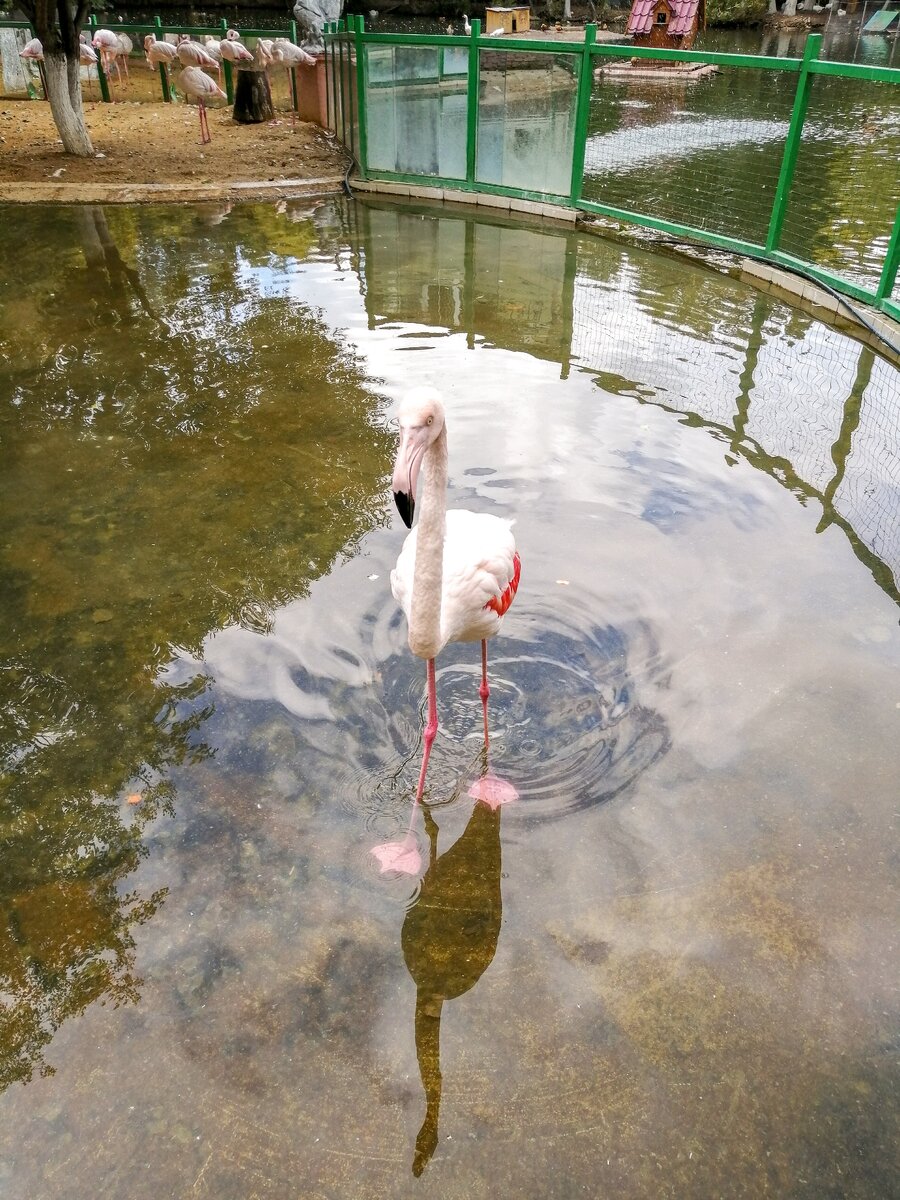 Липецкий зоопарк