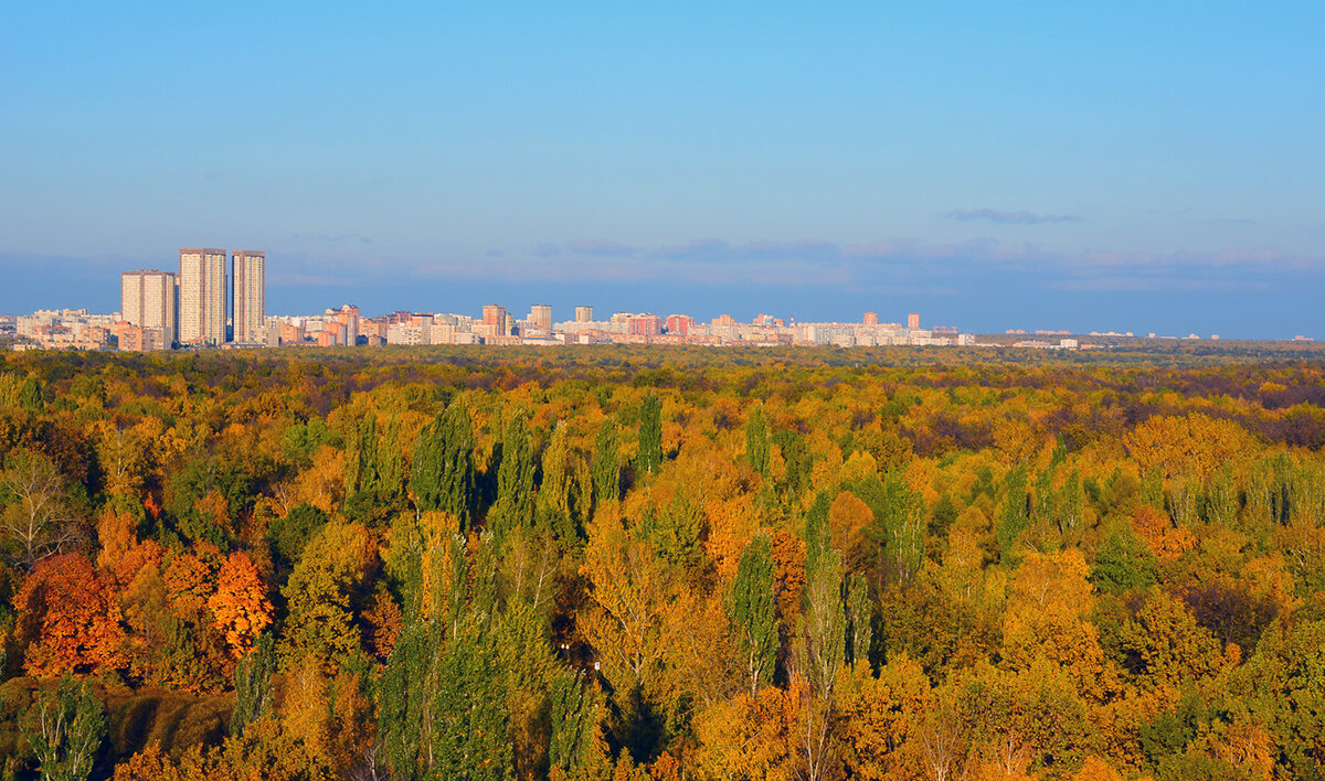 Фото лесопарк измайлово