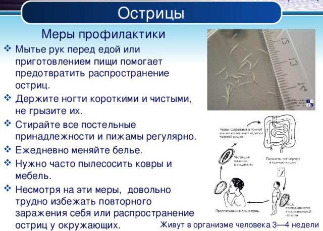 Энтеробиоз. Как быть, если у Вас глисты? (Девора) / эвакуатор-магнитогорск.рф