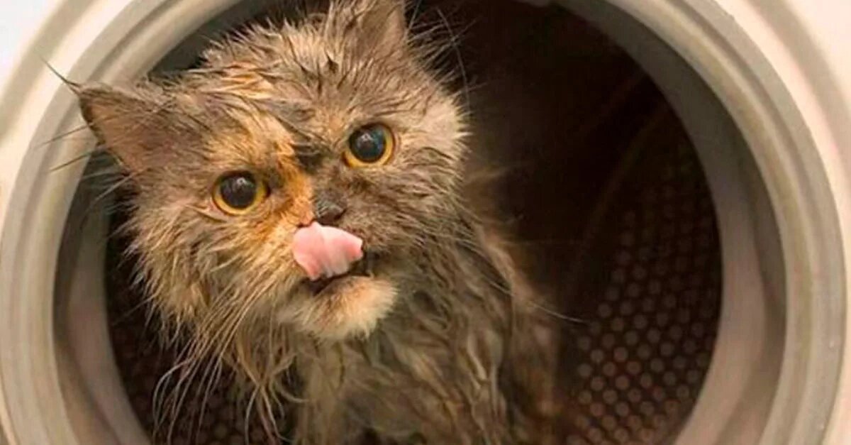 Источник Яндекс.Картинки