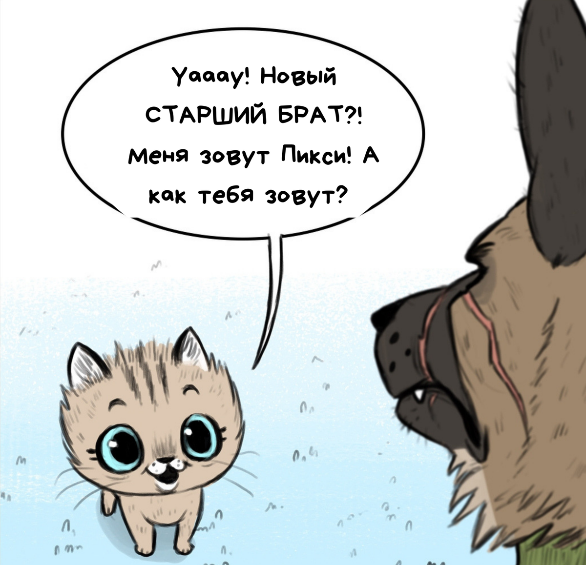 Пикси и брут пикси картинки