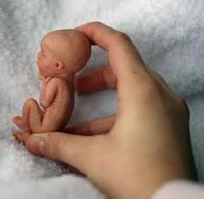 Ребёнок на 12 неделе 