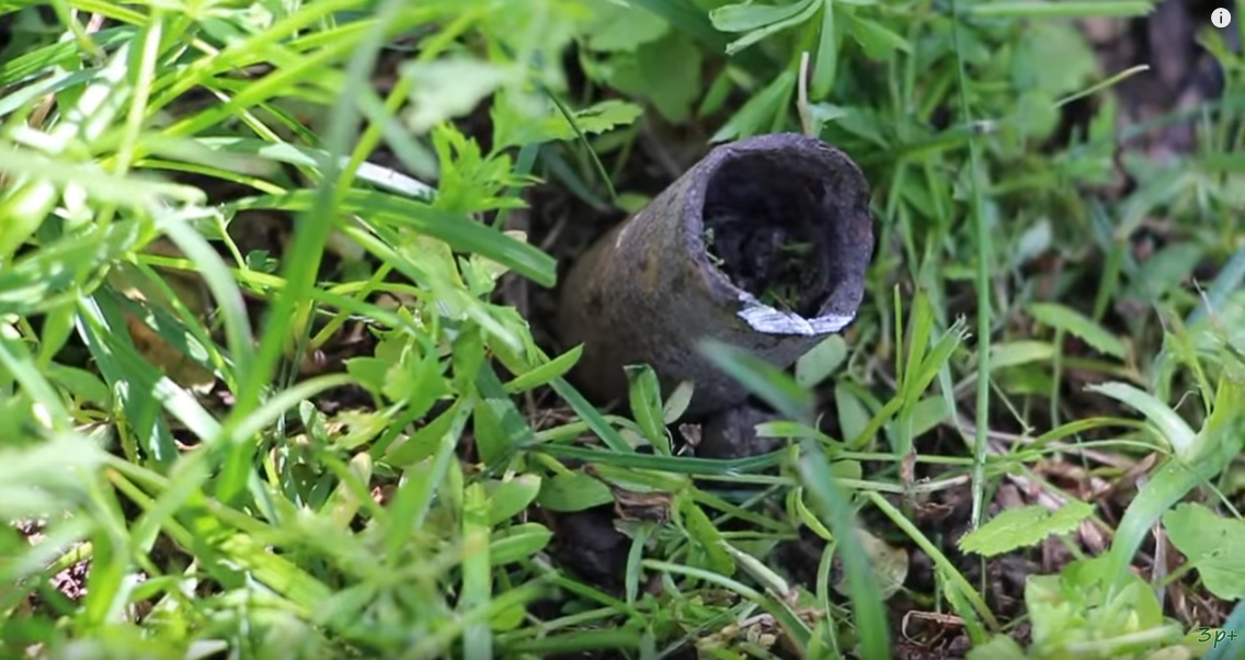 Фото: youtu.be/FWC1rAHYKRQ