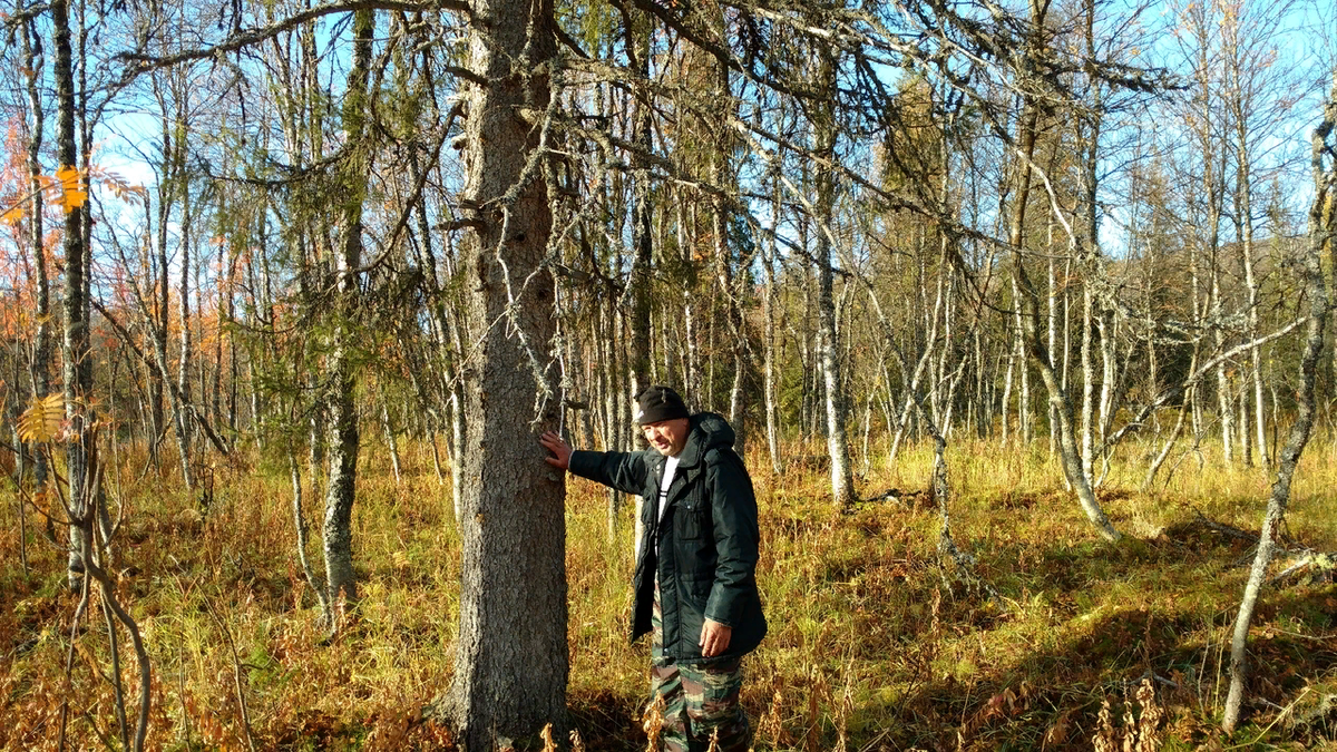 аномальные места россии на карте. чертово кладбище красноярский край. страшные аномальные места. аномалии нло. засняли нло.