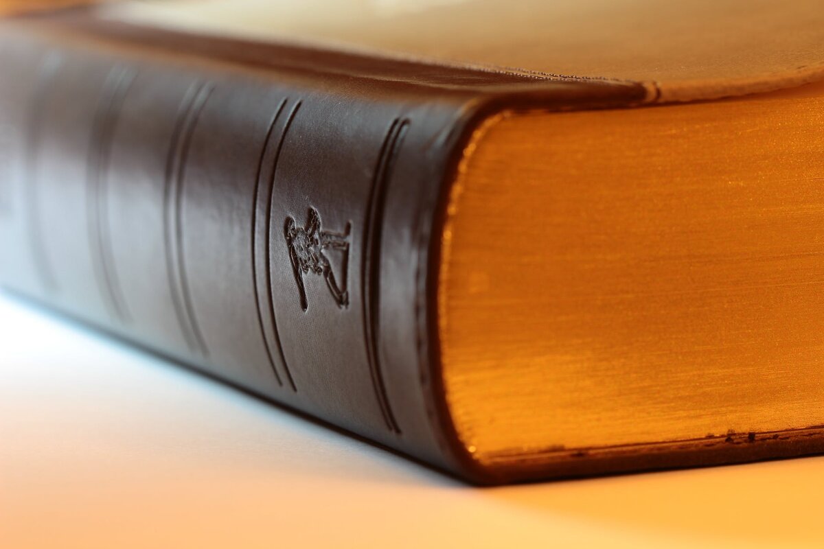 https://www.pexels.com/photo/antique-bible-blur-book-268424/