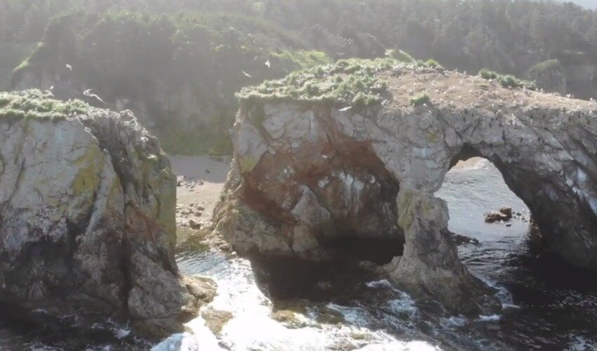 Кадр из видео