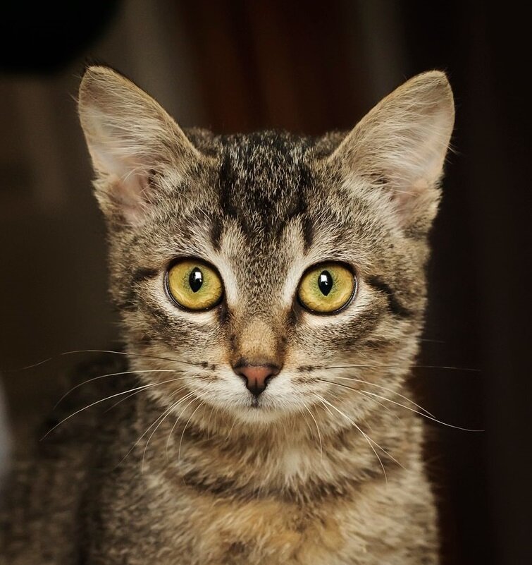 Моя Ларочка:)