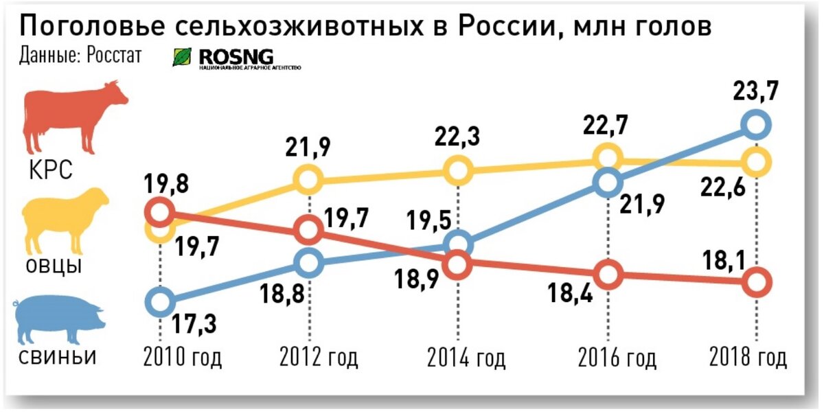 Поголовье крупного рогатого. Поголовье КРС. Поголовье коров в России в 2022 году. Численность крупного рогатого скота в России 2022. Поголовье молочных коров в России в 2020 году.