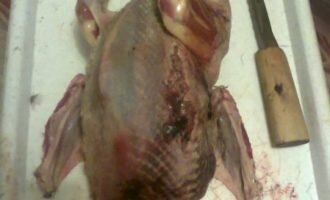 Тушку потрошат и натирают солью. Оставляют в прохладном месте на 10 часов. Когда время истечет, мясо нужно хорошо промыть под проточной водой.