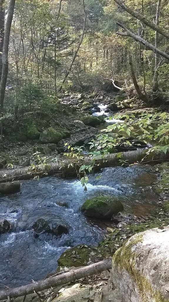 Горная река