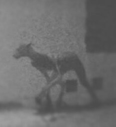 Взято на "bigmir.net"