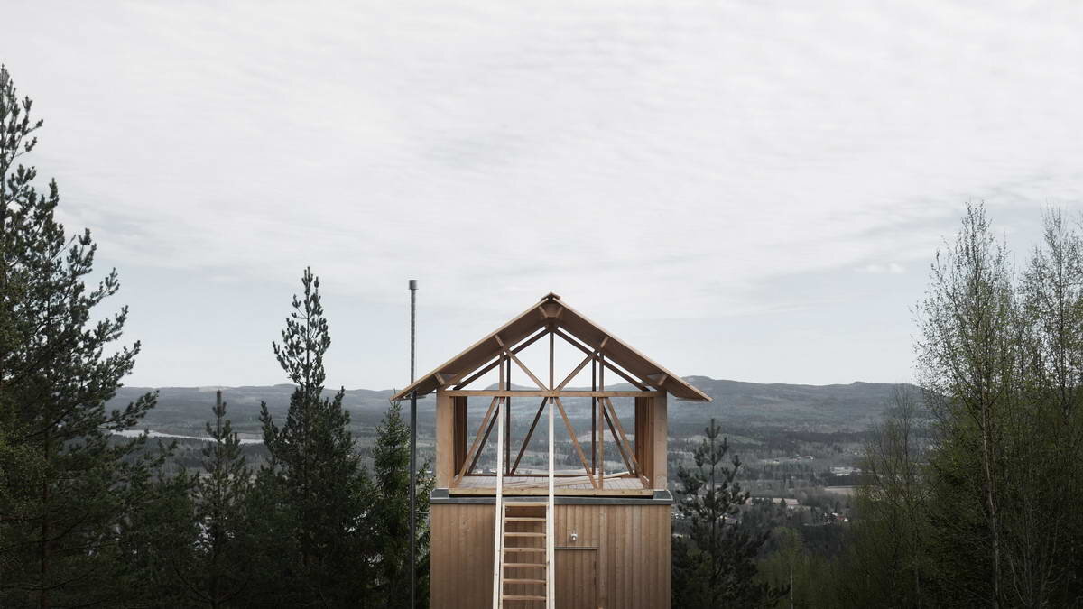 Высокая дача. Отель Bergaliv Landscape Hotel. Швеция отель в горах. Swedish Shacks. Купить дом на горе в Швеции.