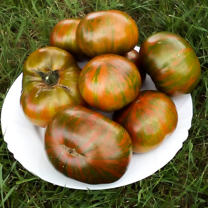 мой урожай этого года