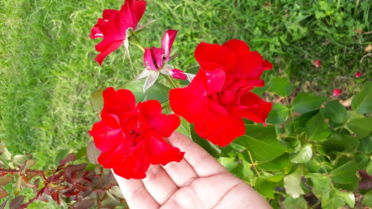 Из личного архива)