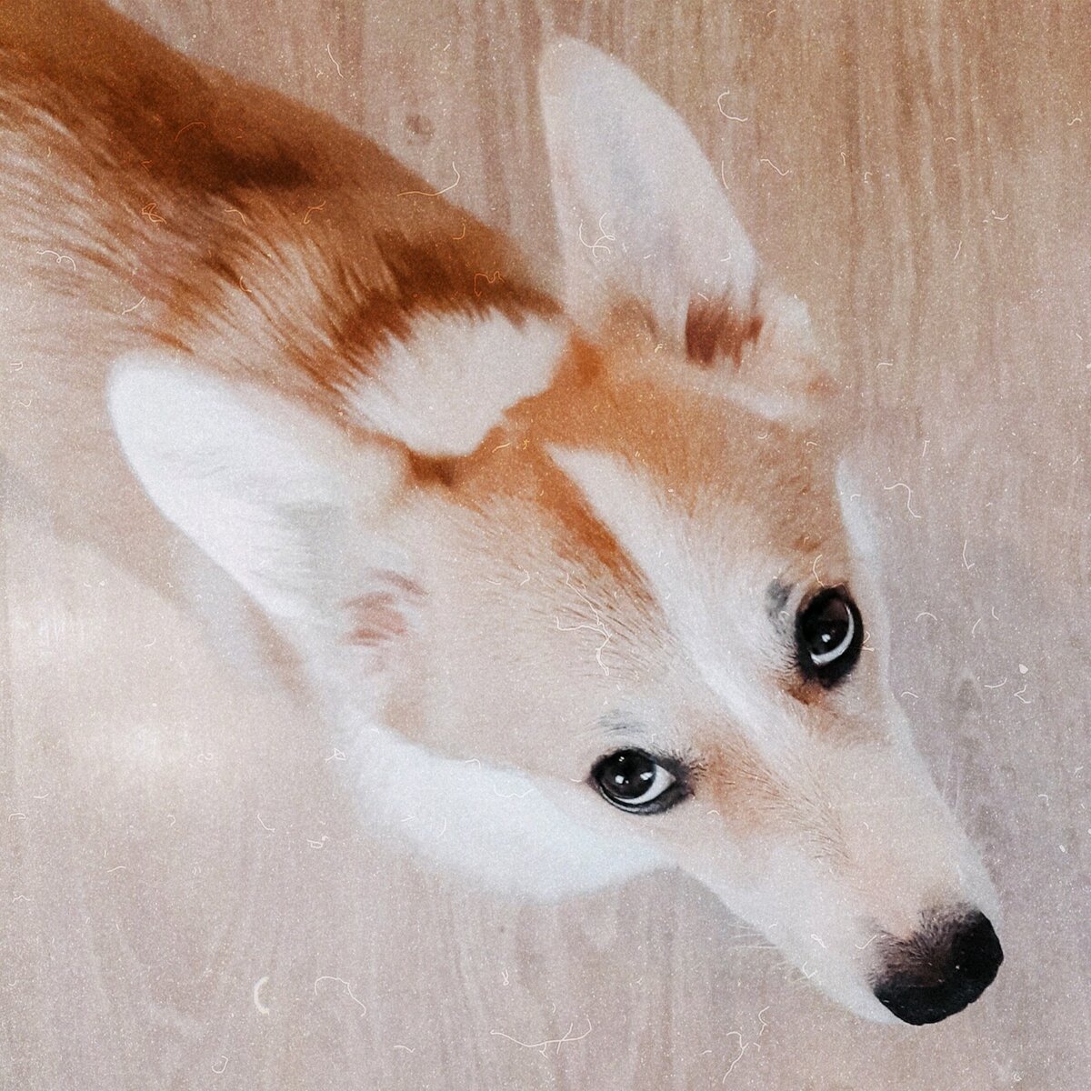 Требует внимания и всяческого почтения