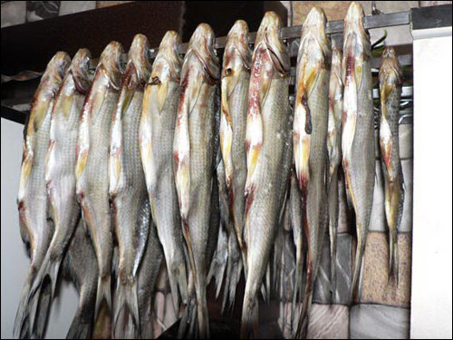 Иллюстрация для статьи используется по стандартной лицензии ©stroi-rasti.ru