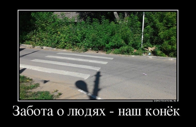 изображение с сайта с открытым доступом.