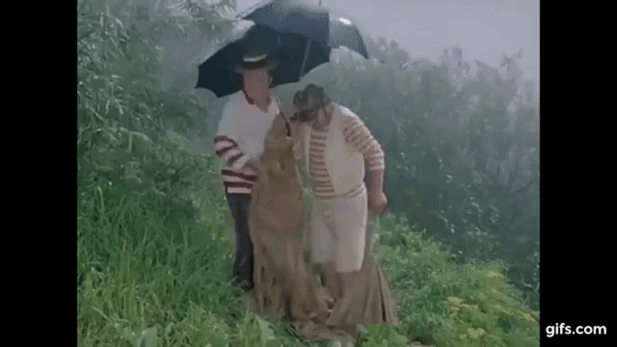 "Трое в лодке, не считая собаки"