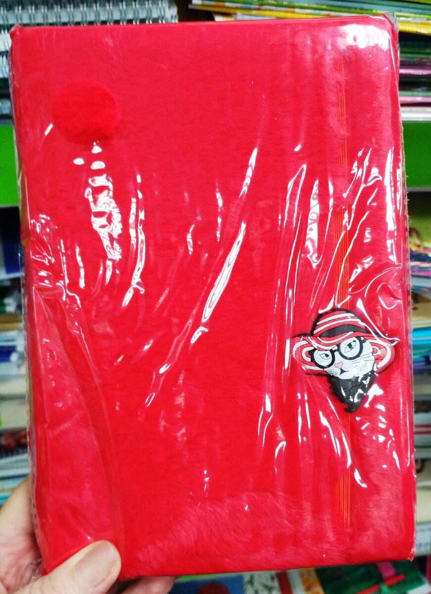 Фото автора. Красный блокнот с кошечкой в шляпе.