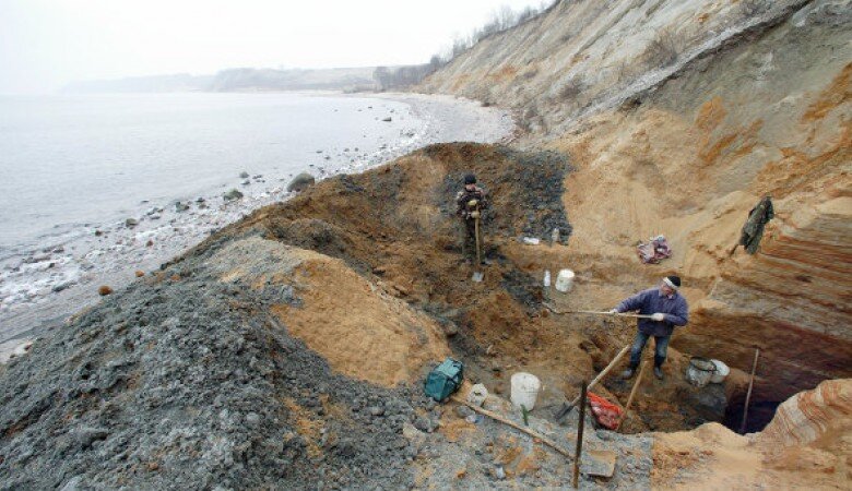 Незаконная добыча янтаря