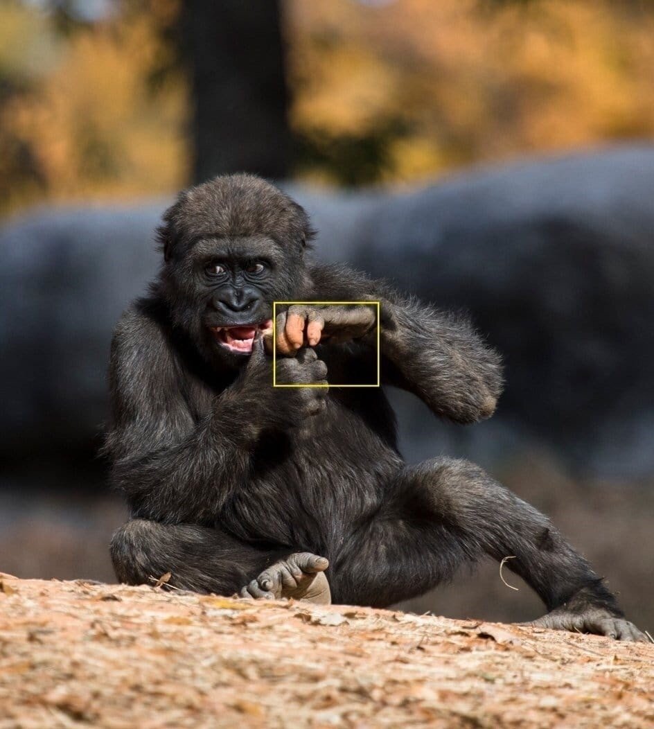 Источник: https://twitter.com/fillip_ina/status/1210860318311796737