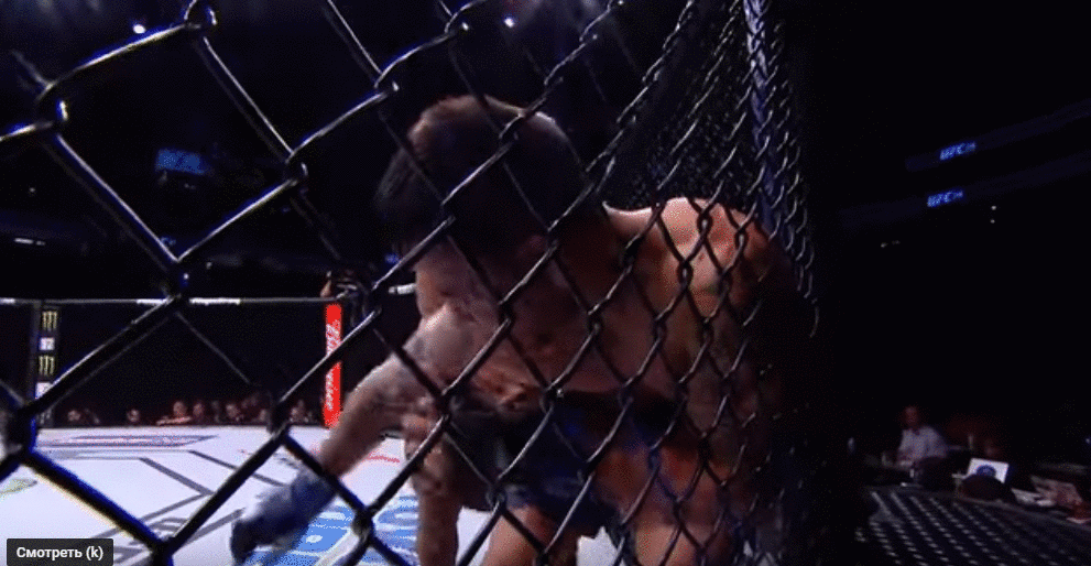 Могучий мышонок в действии