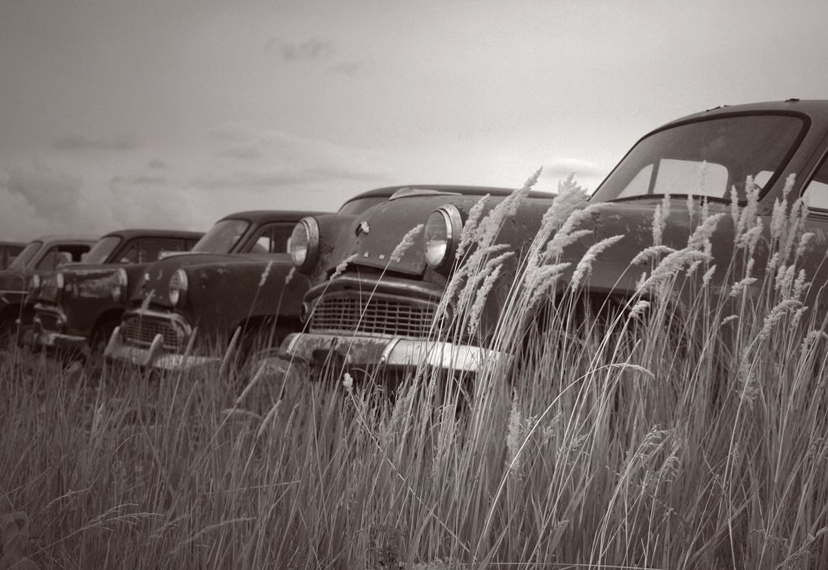 Ночь наступает на пятки, утро прячет лицо, а день постоянно с похмелья.  Чёртова пора - это Петербуржское межсезонье. Как я тебя ненавижу!
Скоро, скоро февраль. Разорутся синицы, сердце сойдёт с ума, а ноги превратятся в крылья, с каждым шагом отрывая тебя от земли.
Затем будет март и, наконец - апрель.
Весна расставит всё по своим местам, в голове наступит долгожданный хаос, на небо нехотя вылезет солнце и на пригорке протает первая зелень.
Запахнет летом, теплом и детством.
Весна - лучшее время, чтобы забыть обо всём.