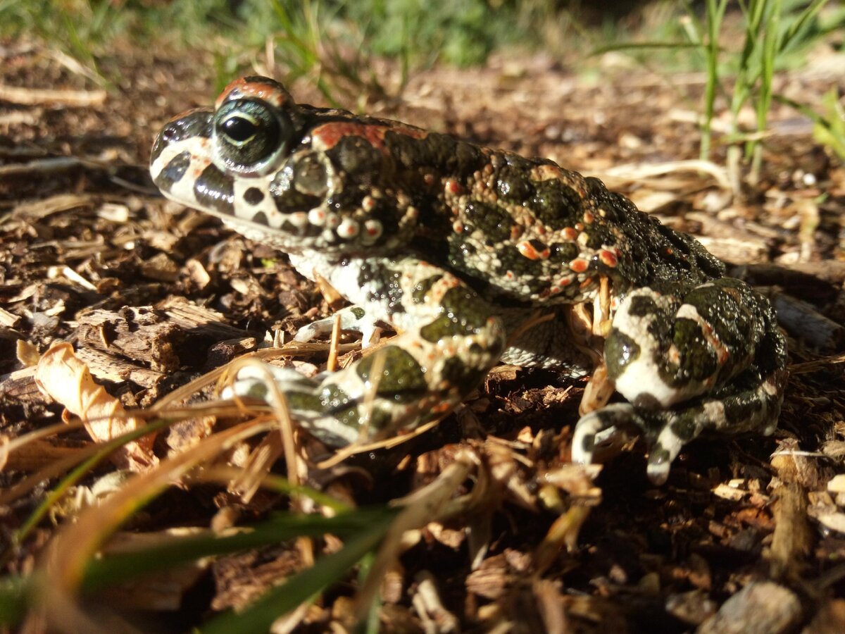 Пребываю в такой же задумчивости, как она...