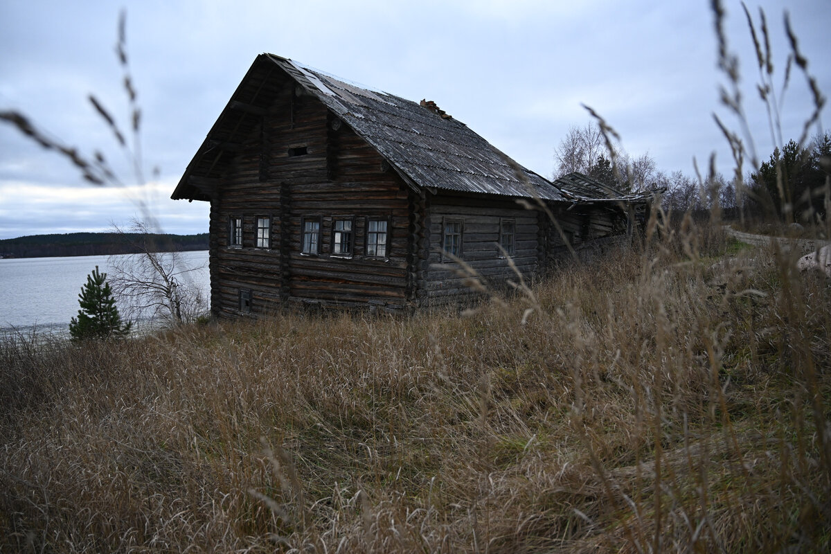 В деревню в глушь. Деревня глушь Псковской. Захолустье (деревня в Псковской области),. Глухомань Карелия. Домик в деревне в глуши.