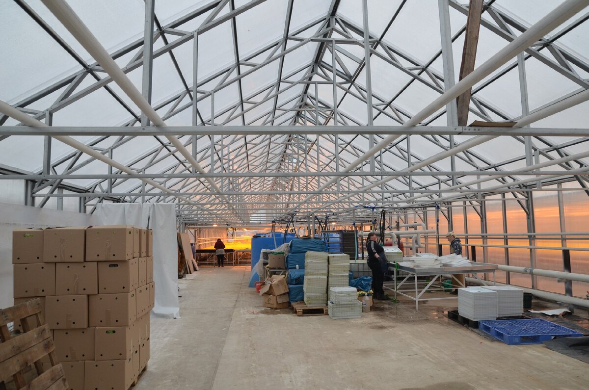 Один из первых крупных заказов-китов на 3500 м.кв.